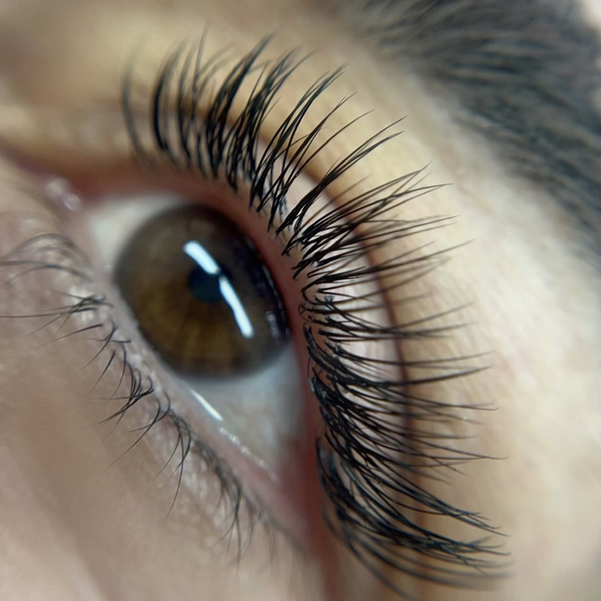 Detailed close-up of eyelash extensions